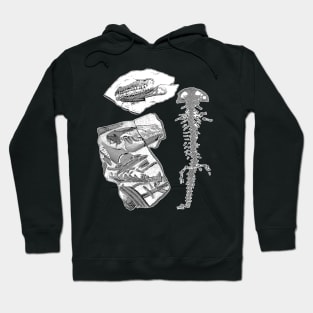 Dinosaur Fossils | Paleontology Archeology Dino Bones Hoodie